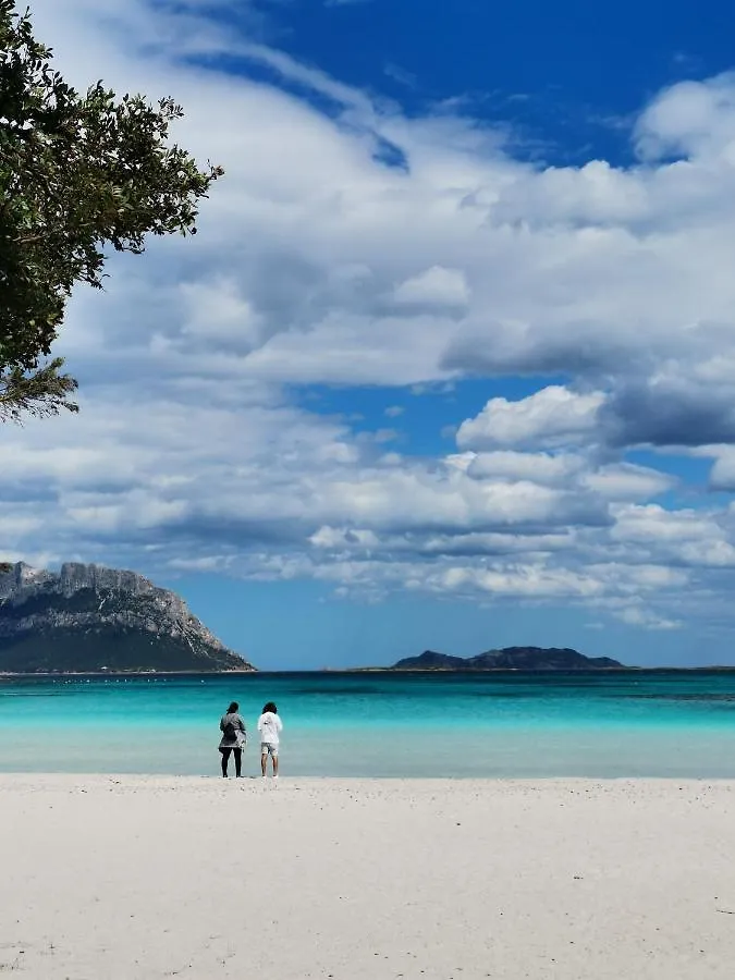Vacanze Da Sogno A Pochi Km. Da Olbia Porto Istana